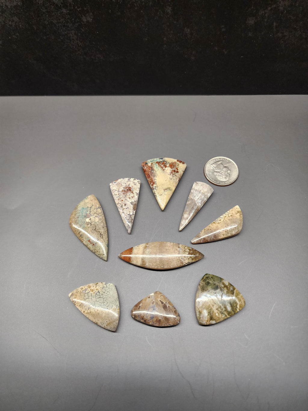 Bulk Lot | Natural Dragon Plume Agate Cabochons