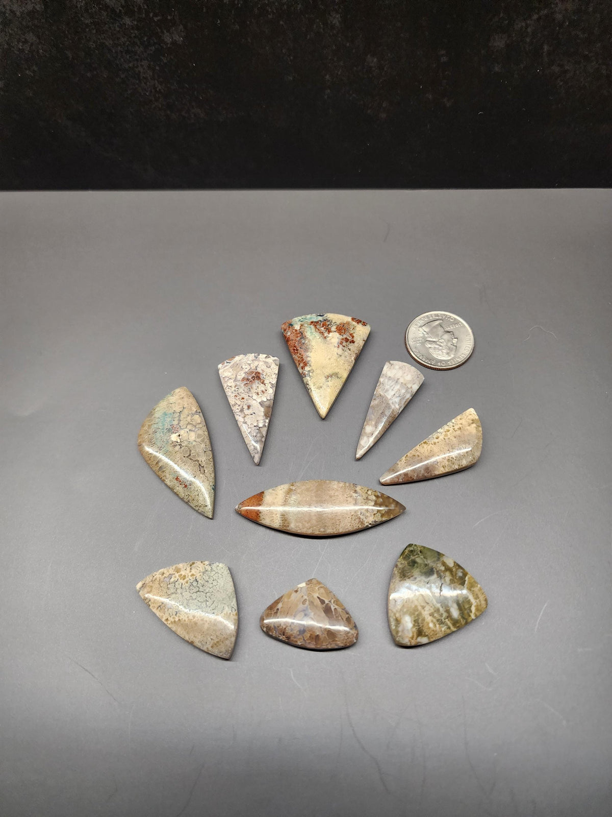 Bulk Lot | Natural Dragon Plume Agate Cabochons