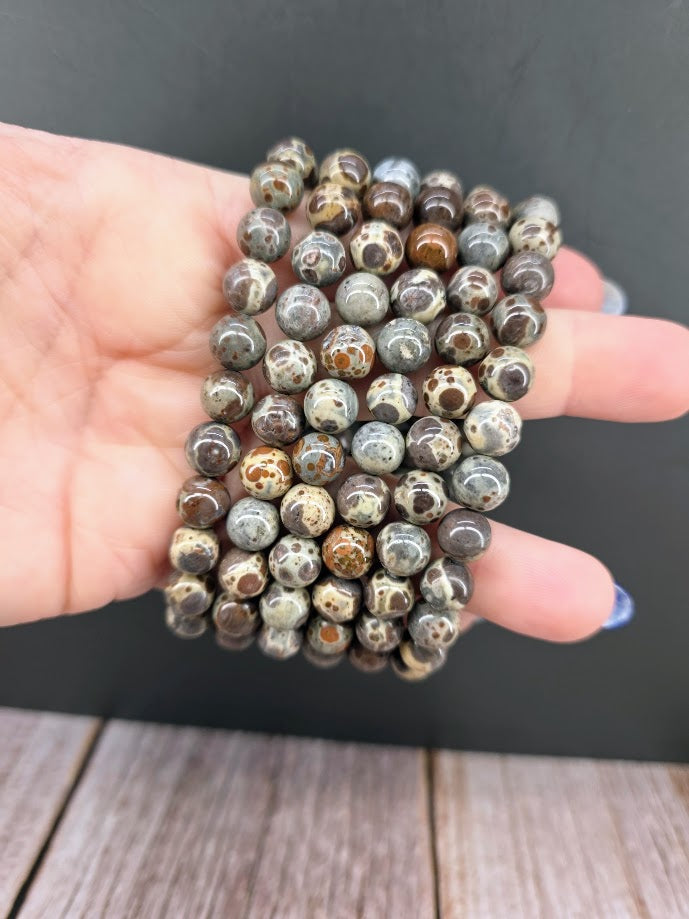 Natural Asteroid Jasper 8mm Stretch Bracelet