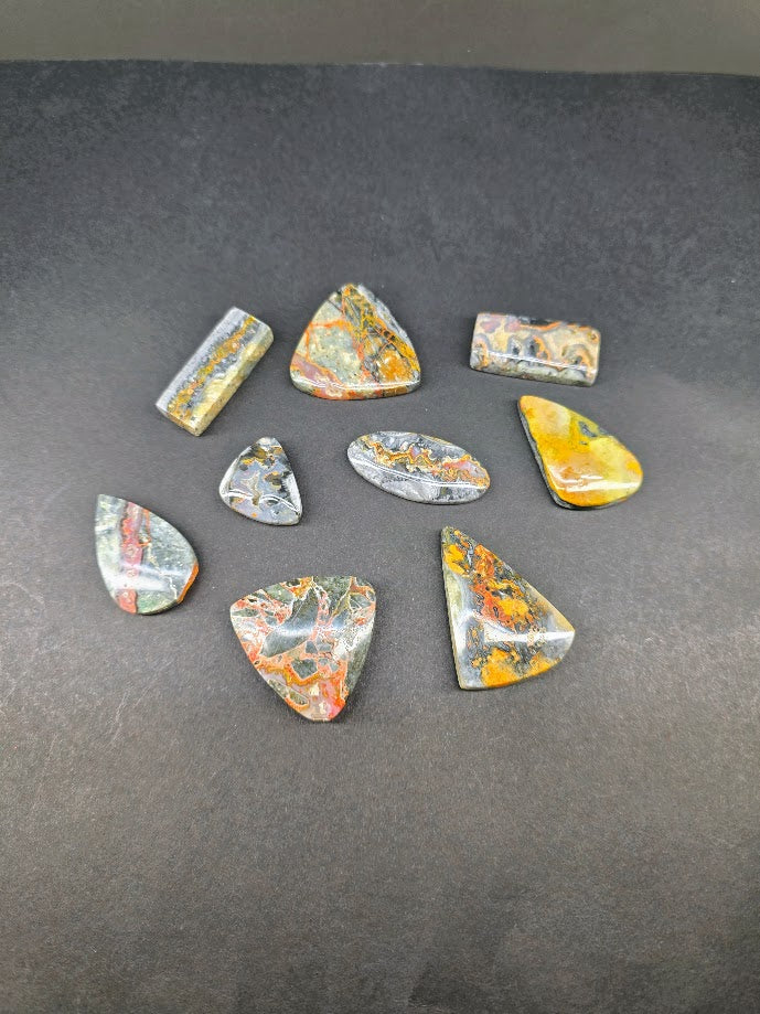 Bulk Lot | Bumblebee Seam Agate Cabochons