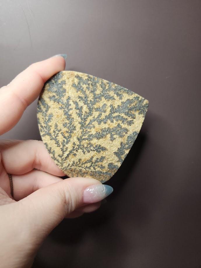 Bulk Lot | Natural Psilomelane Dendrite Limestone Cabochons