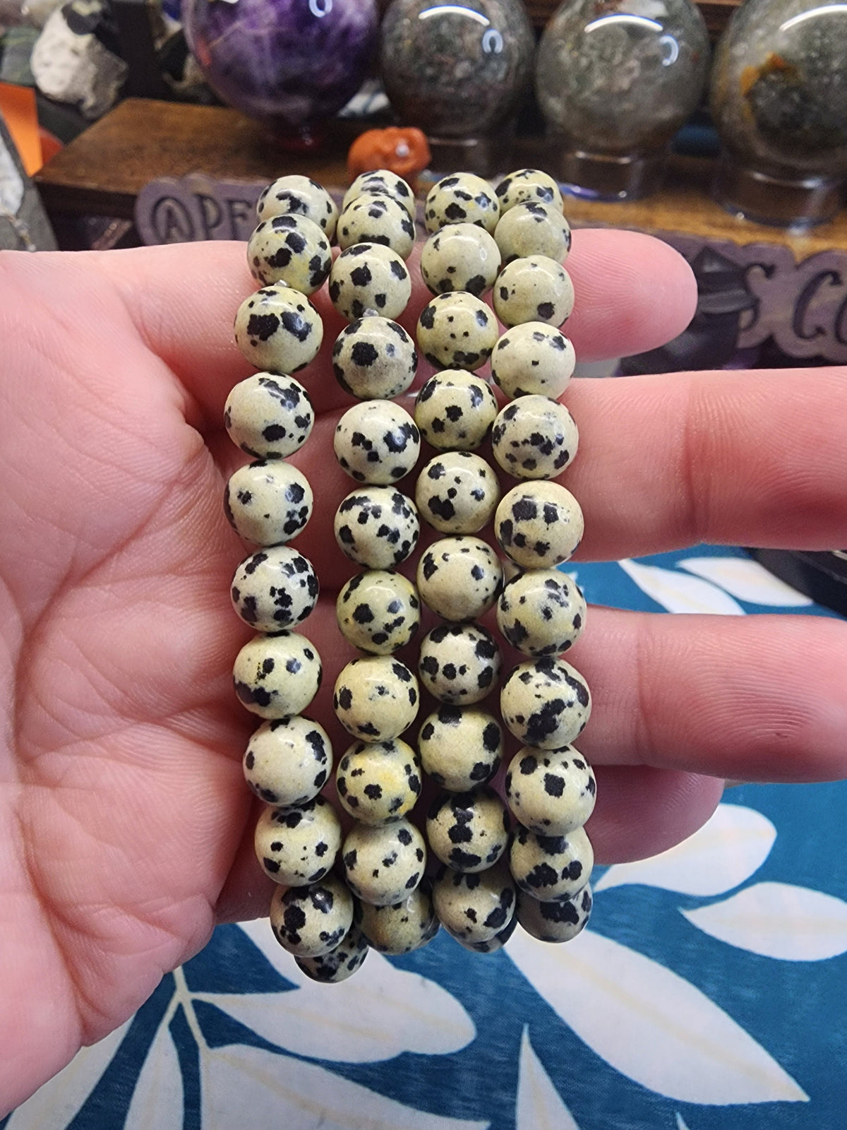 Natural Dalmatian Jasper 8mm Stretch Bracelet
