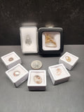 Bulk Lot | Natural Included Quartz Cabochons