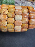 Natural Fossilized Coral 20mm Stretch Bangle