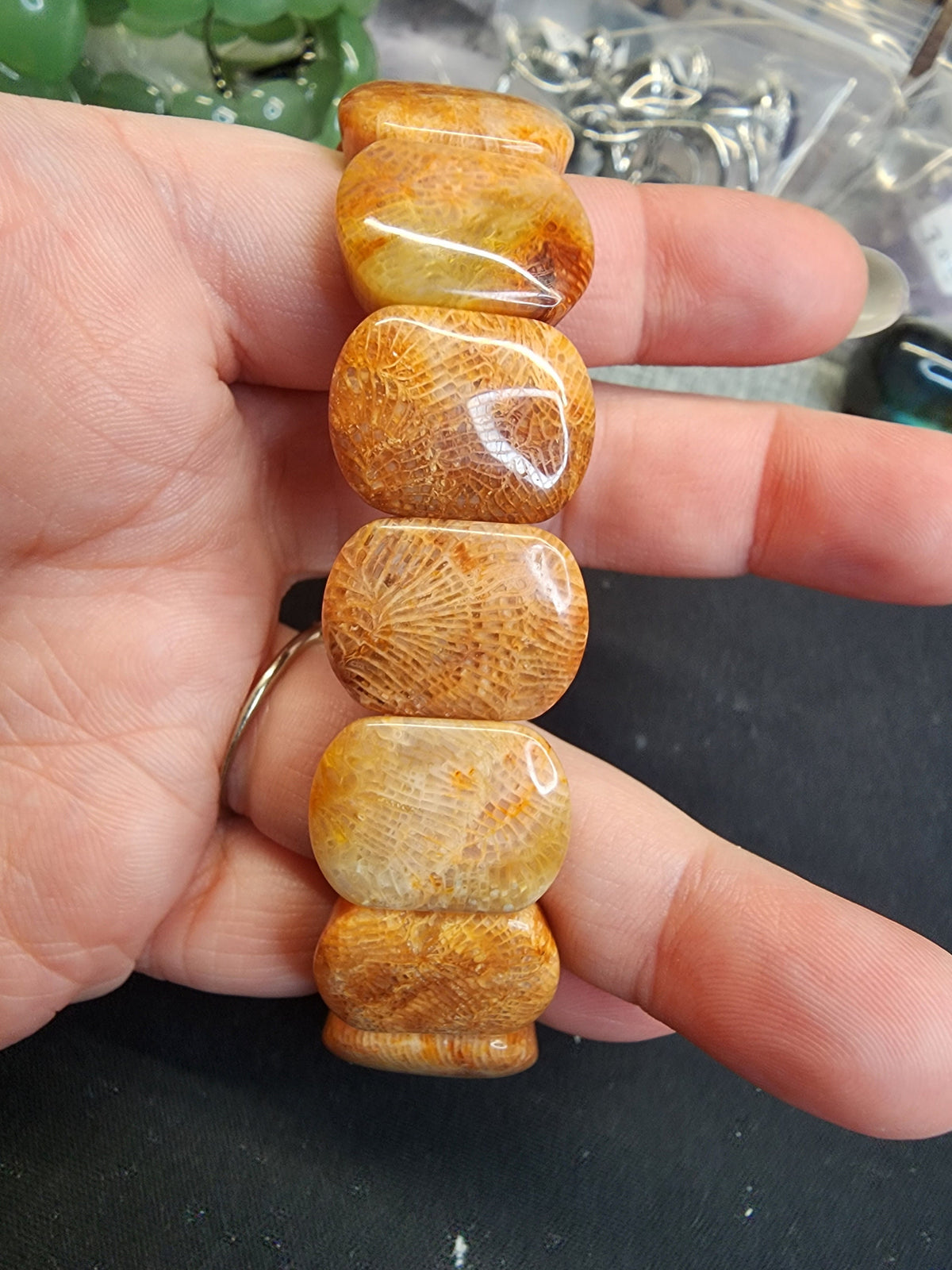 Natural Fossilized Coral 20mm Stretch Bangle
