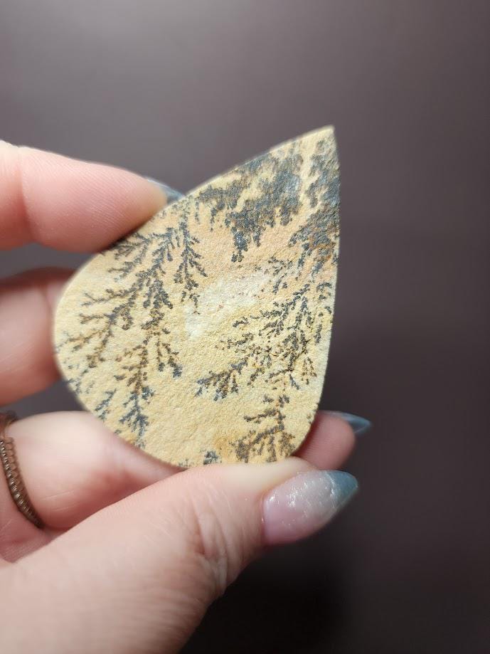 Bulk Lot | Natural Psilomelane Dendrite Limestone Cabochons