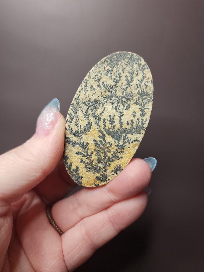 Bulk Lot | Natural Psilomelane Dendrite Limestone Cabochons