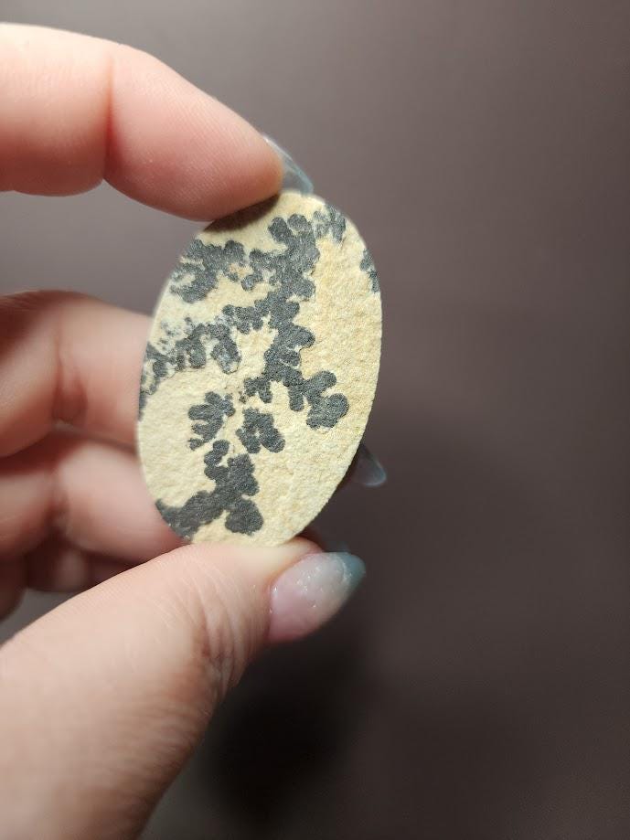 Bulk Lot | Natural Psilomelane Dendrite Limestone Cabochons