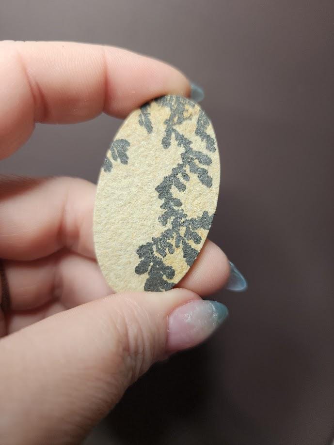 Bulk Lot | Natural Psilomelane Dendrite Limestone Cabochons