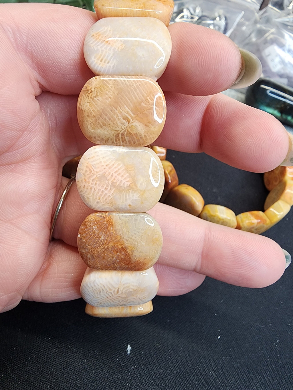Natural Fossilized Coral 20mm Stretch Bangle